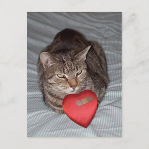 Cat Heart Bandaid Briefkaart