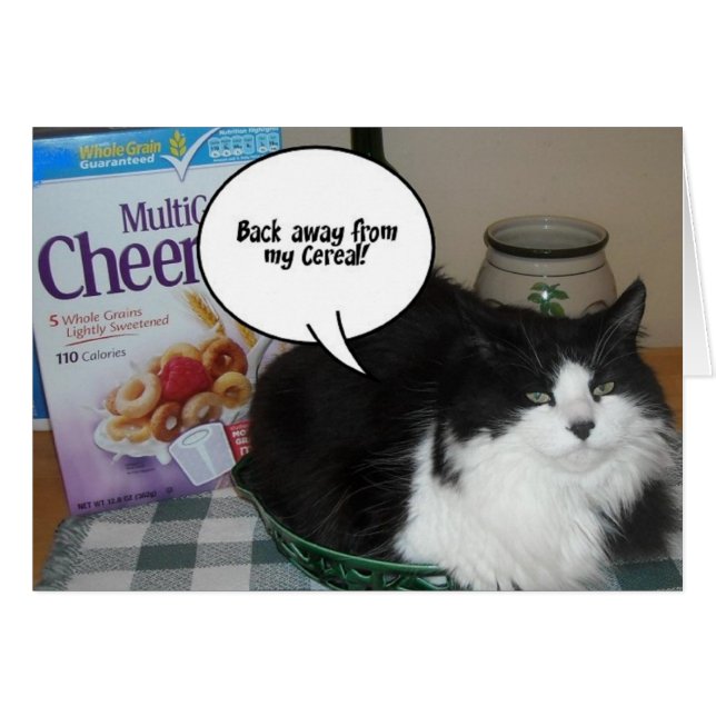 Cat Humor (Devant horizontal)