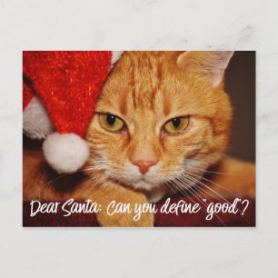 Cat Humor: Beste Santa Define Good Pet Lover Feestdagenkaart