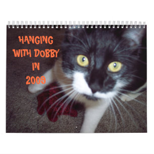 CAT HUMOR CALENDAR KALENDER