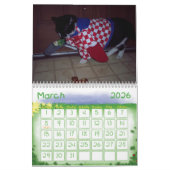 CAT HUMOR CALENDAR KALENDER (Mar 2026)