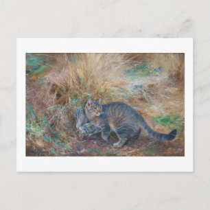Cat Hunting a Turtledove, Bruno Liljefors Briefkaart