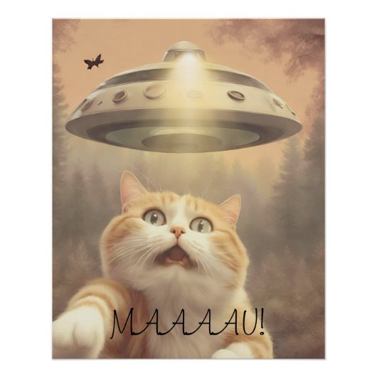 Cat I Believe UFO Wall Poster Art (Devant)