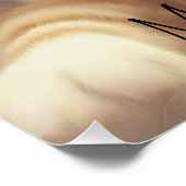 Cat I Believe UFO Wall Poster Art (Coin)