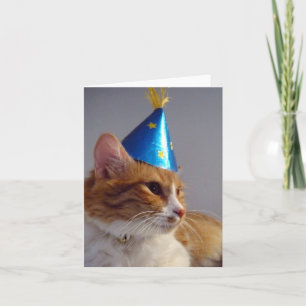 Cat in Blue Party Pet Blank Note Kaart