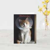 Cat in Cone Denkt aan jou, Cat Get Well Soon Kaart (Gele Bloem)