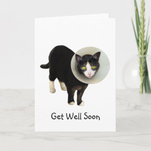 Cat in Cone Get Well Card Kaart