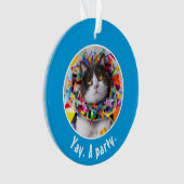 Cat In Party Cone (devant)