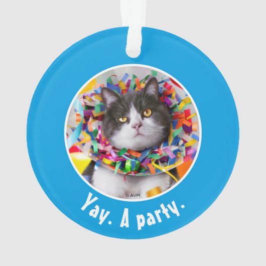 Cat In Party Cone (dos)