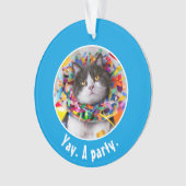 Cat In Party Cone (devant)