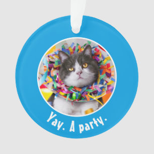 Cat In Party Cone