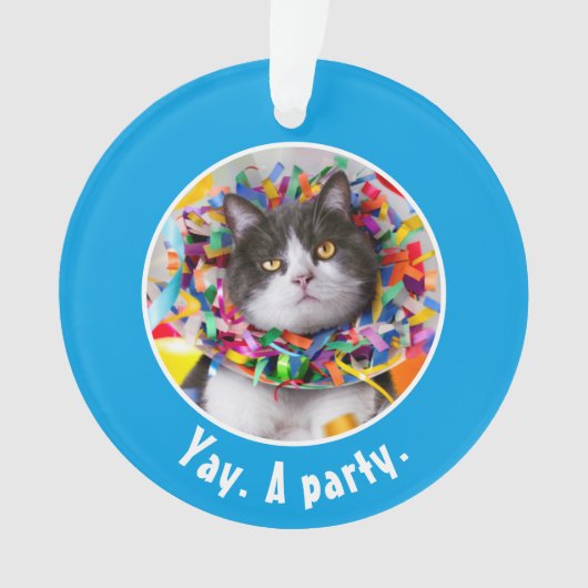 Cat In Party Cone (devant)