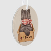 Cat in The Box (devant)