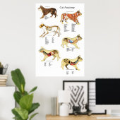 Cat Internal Organ Anatoman Veterinary Chart Poster (Thuiskantoor)
