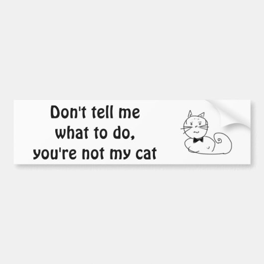 Cat is mijn baas bumpersticker (Voorkant)