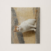 Cat Jigsaw Puzzle (Vertical)