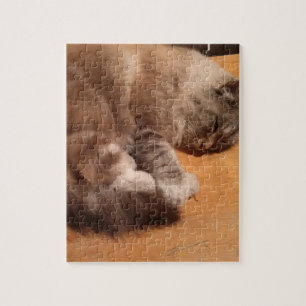 Cat Jigzaag Puzzle Legpuzzel