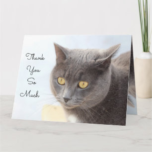 Cat Kaart heel erg bedankt