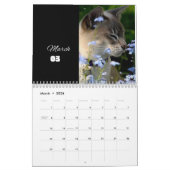 CAT Kalender 2024 - Moderne Cut Kalender (Mar 2026)