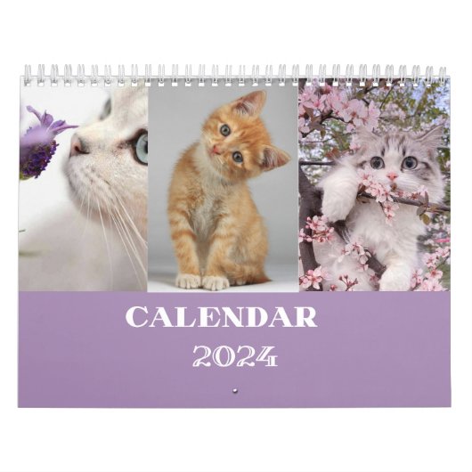 CAT Kalender 2024 - Moderne Cut Kalender (Hoes)