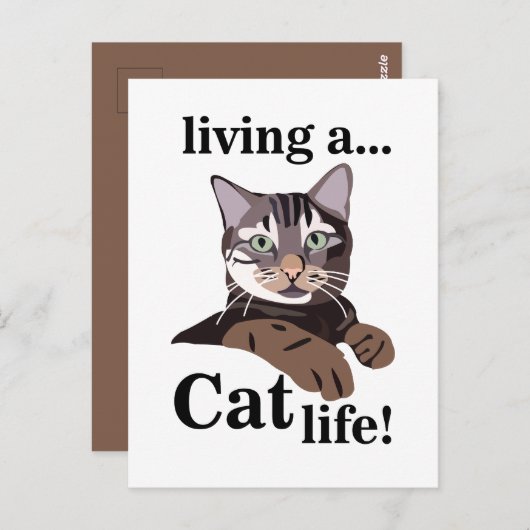 Cat Kat Funny Briefkaart (Voorkant / Achterkant)