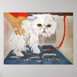 Cat Kat Vet Pet Cat Bath Humor Funny Poster