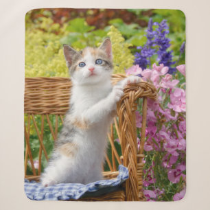 Cat Kitten (Cat Cat Kitten) met een luiend Baby - Sherpa Deken