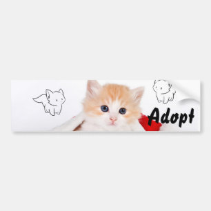 Cat Kitten Dog keurt Bumpersticker goed