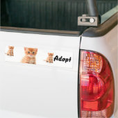 Cat Kitten Dog keurt Bumpersticker goed (Op Truck)