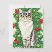  Cat Kitten Kerst Kaart (Voorkant)