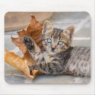 Cat Kitten met een lul Muismat