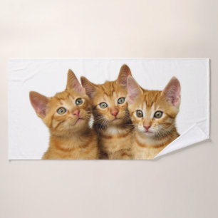 Cat Kittens, trois mignons gingembre Photo de la t