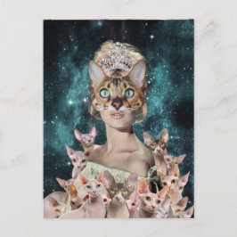 Cat Lady Briefkaart