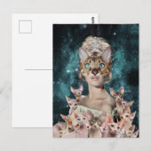 Cat Lady Briefkaart (Voorkant / Achterkant)