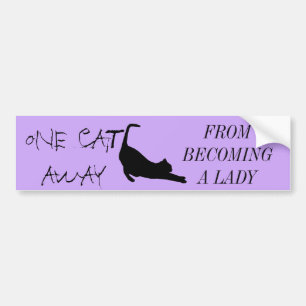 CAT LADY BUMPERSTICKER