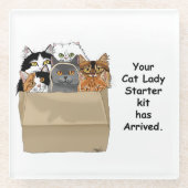 Cat Lady Starter Kit Glazen Onderzetter (Voorkant)
