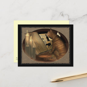 Cat Lessons bestuderen Briefkaart