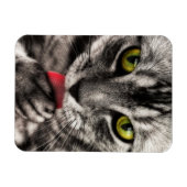 Cat Lick Magneet (Horizontaal)