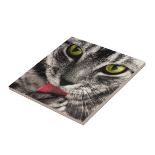 Cat Lick Tegeltje