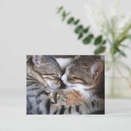 Cat Love Briefkaart (Staand voorkant)