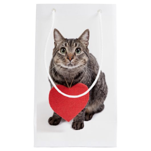 Cat Love Klein Cadeauzakje (Voorkant)