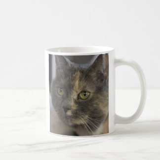 Cat Love Mok