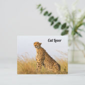 Cat lover cheetah foto briefkaart (Staand voorkant)