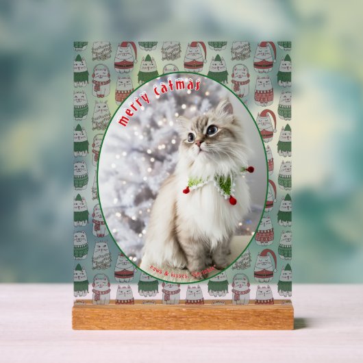 Cat Lover Cute Festive Cat Photo Christmas (Neutre)