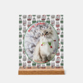 Cat Lover Cute Festive Cat Photo Christmas (Recto)