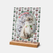 Cat Lover Cute Festive Cat Photo Christmas (Angle)