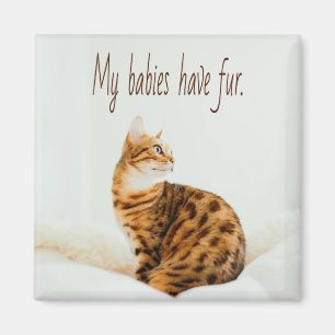 Cat Lover, Cute Kitten Meme, mijn baby's hebben ee Magneet