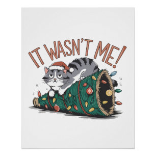 Cat Lover Gift Ik was het niet Perfect Poster