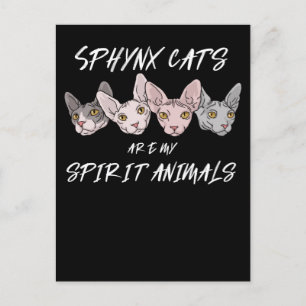 Cat Lover Gift Spirit Animal Sphynx Cat Briefkaart