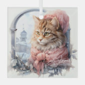 Cat Lover Tabby Kitten Roze Frilly Kleding Glas Ornament (Voorkant)